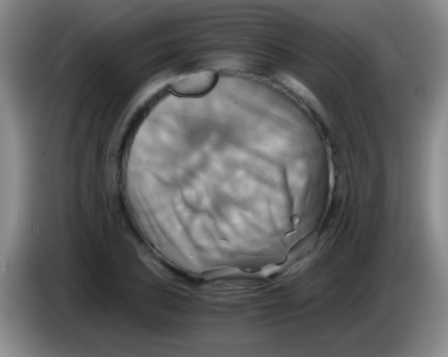 X0000084011027200703091923