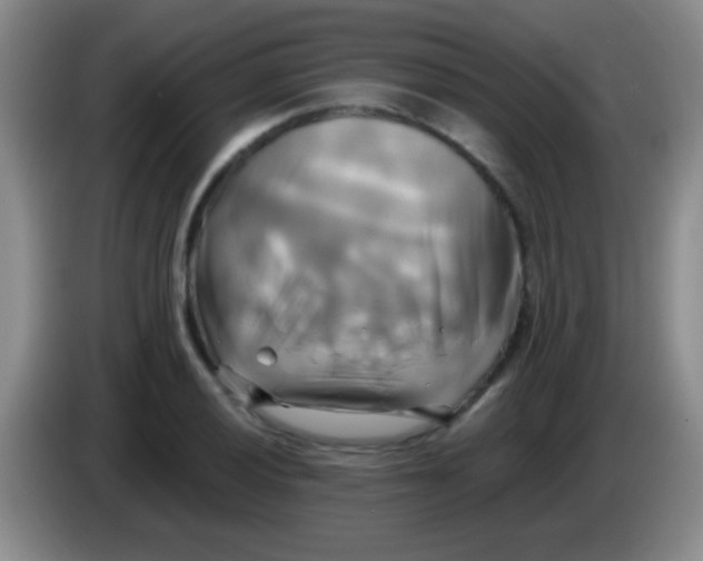 X0000084011028200703091923