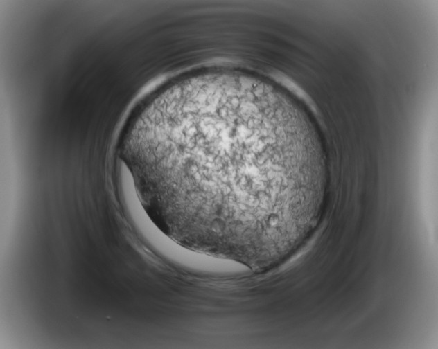 X0000084011029200703091923