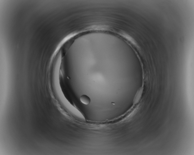 X0000084011030200703091923