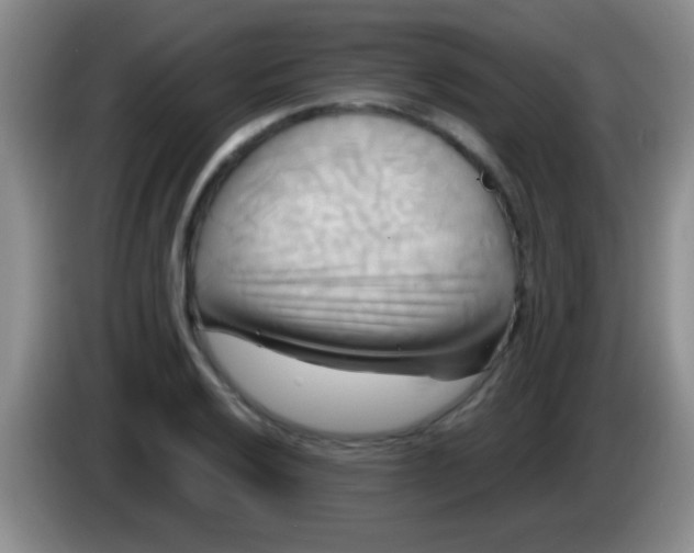 X0000084011032200703091923