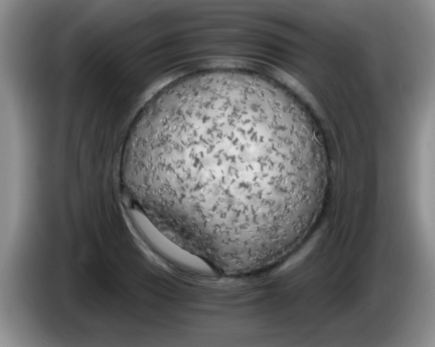 X0000084011033200703091923