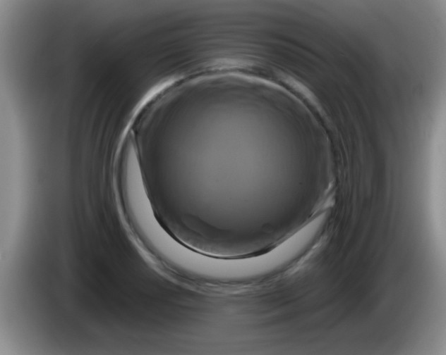 X0000084011034200703091923