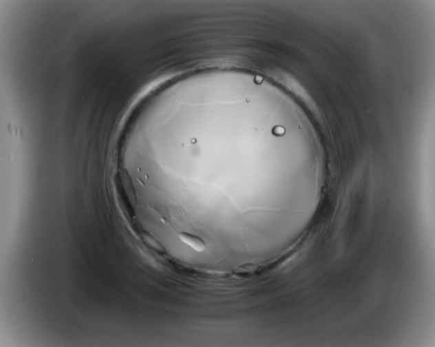 X0000084011035200703091923