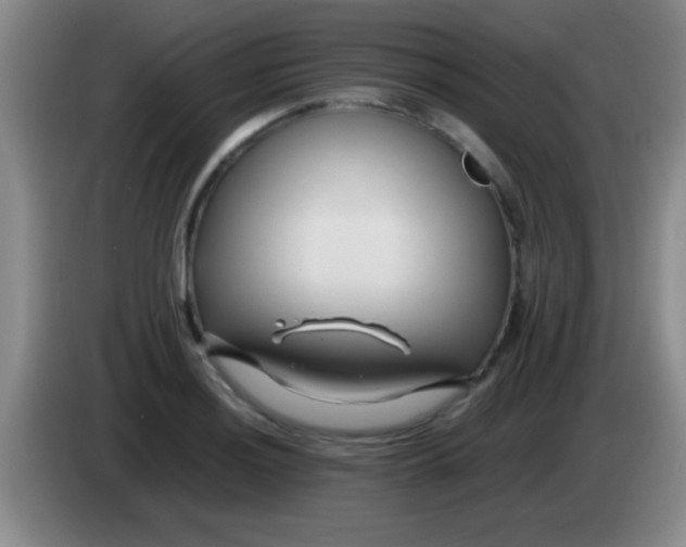 X0000084011036200703091923