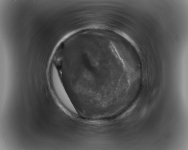 X0000084011037200703091923