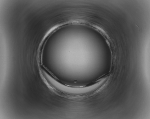 X0000084011038200703091923