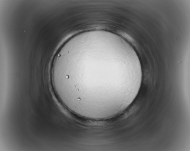 X0000084011039200703091923