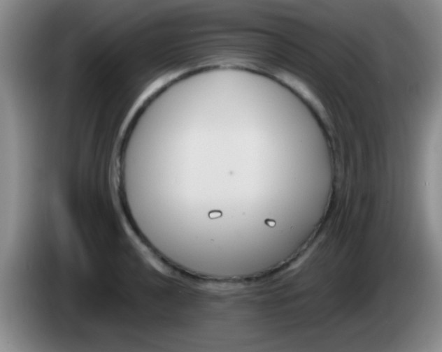 X0000084011040200703091923