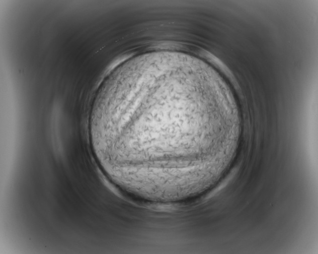 X0000084011041200703091923