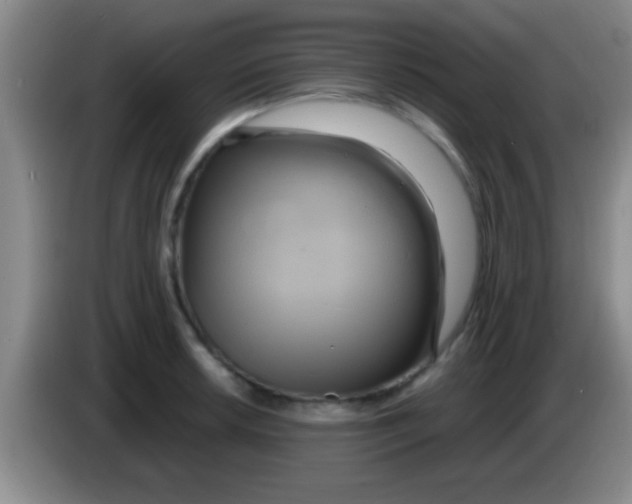 X0000084011042200703091923