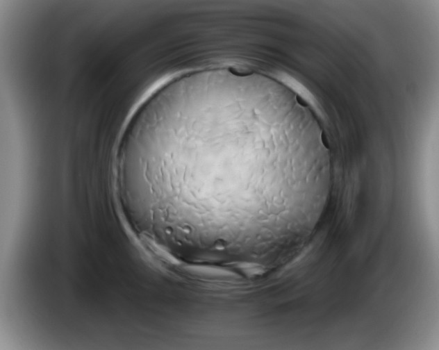 X0000084011047200703091923