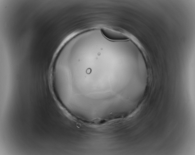 X0000084011048200703091923