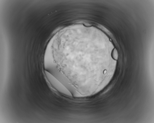 X0000084011049200703091923