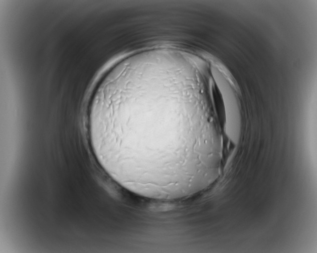 X0000084011051200703091923