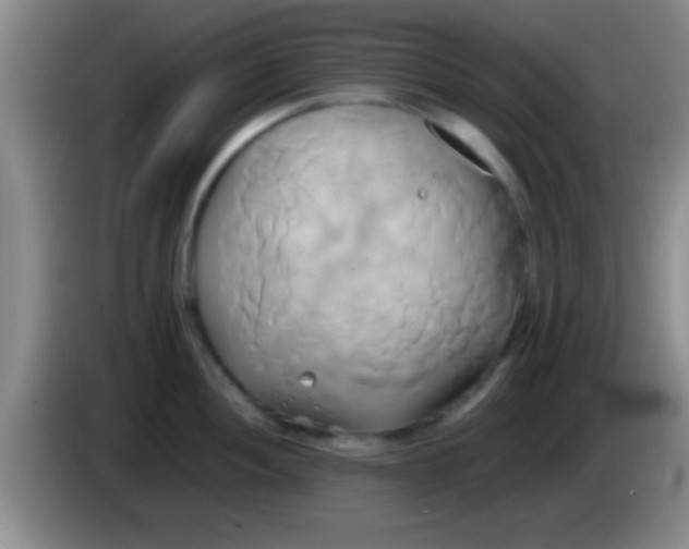 X0000084011052200703091923