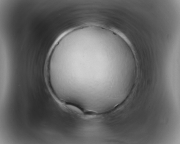 X0000084011056200703091923