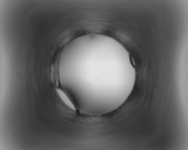 X0000084011058200703091922