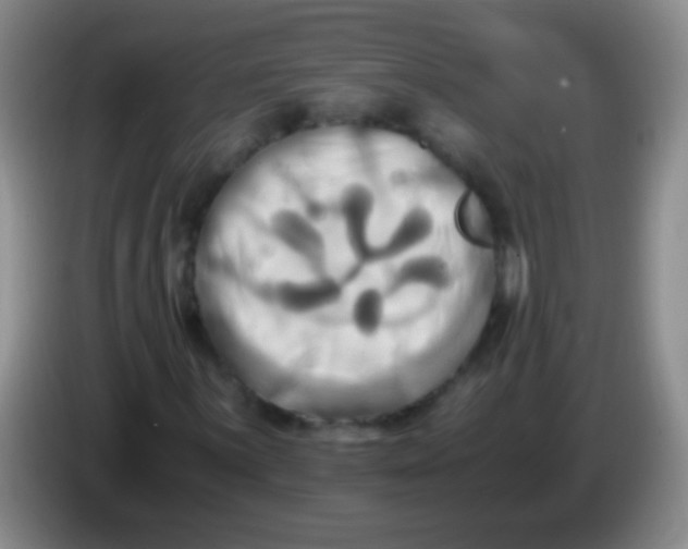 X0000084011059200703091922