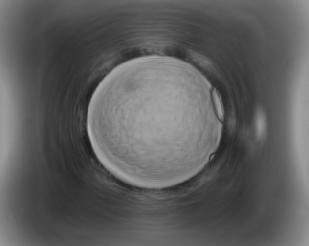 X0000084011060200703091922