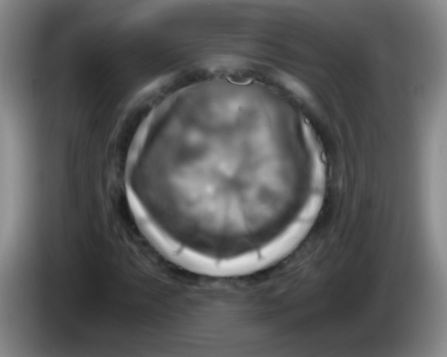 X0000084011063200703091922