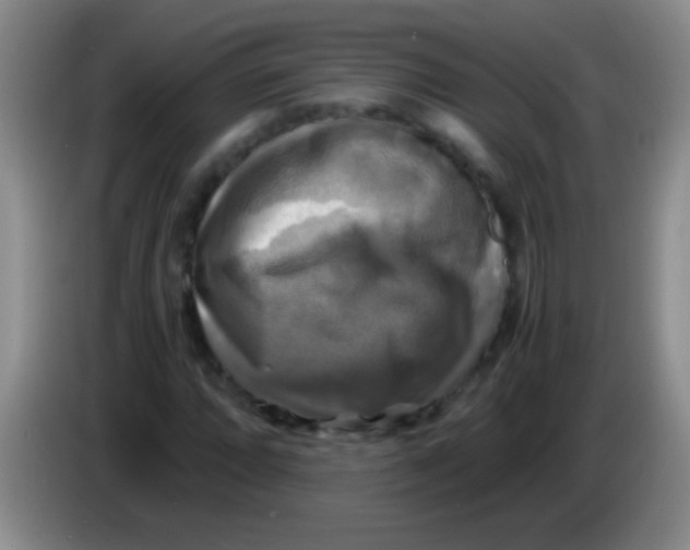 X0000084011064200703091922