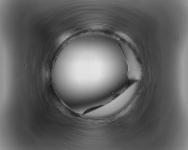 X0000084011065200703091922