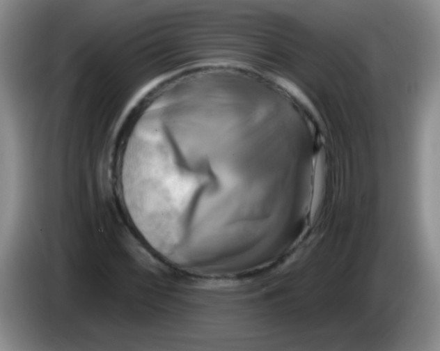 X0000084011068200703091922