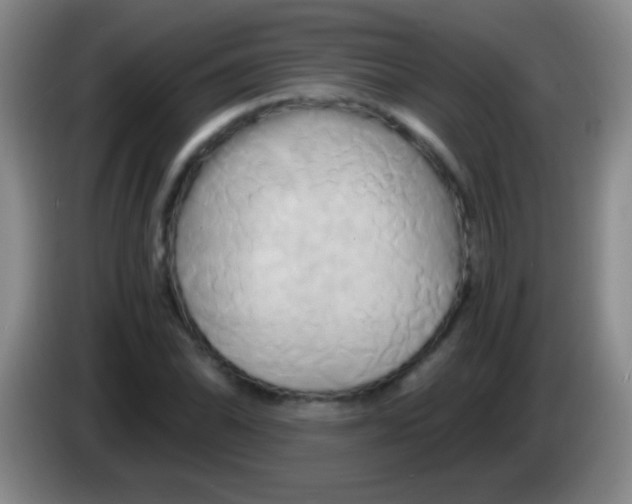 X0000084011070200703091922