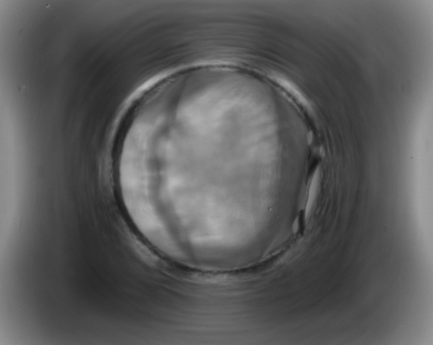 X0000084011072200703091922