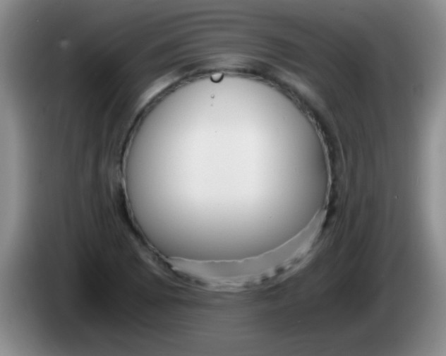 X0000084011073200703091922