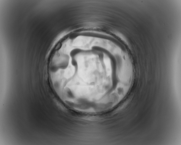 X0000084011075200703091922