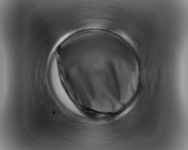 X0000084011077200703091922