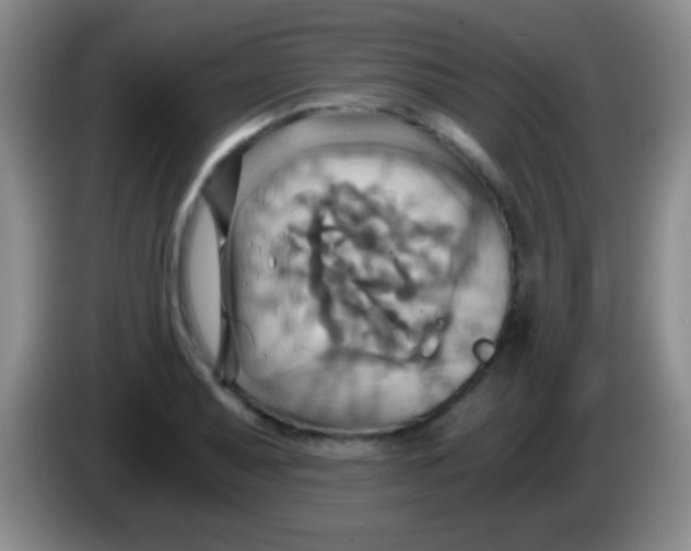 X0000084011079200703091922