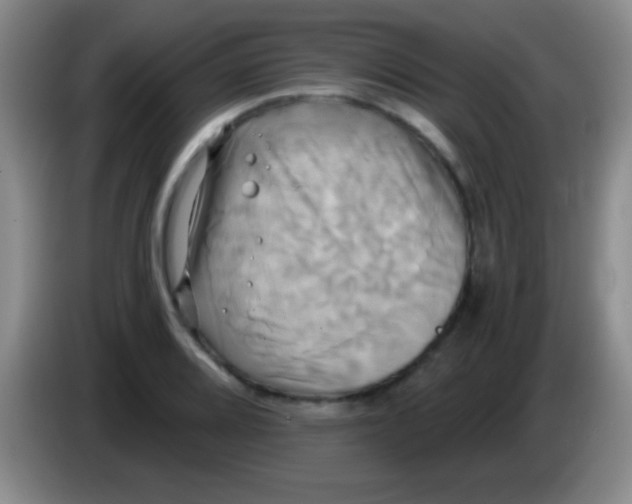 X0000084011080200703091922