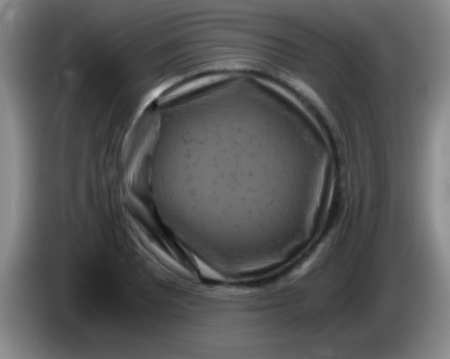 X0000084011081200703091922