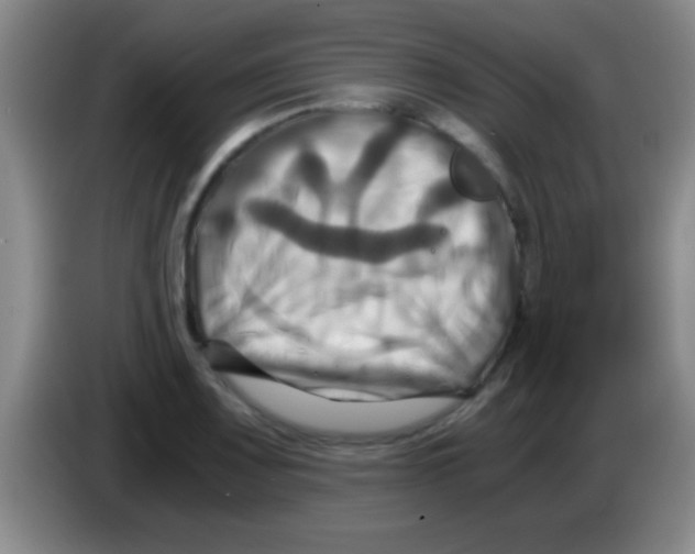 X0000084011083200703091922