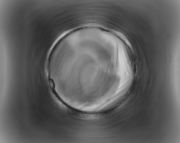 X0000084011084200703091922