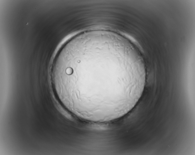 X0000084011086200703091922