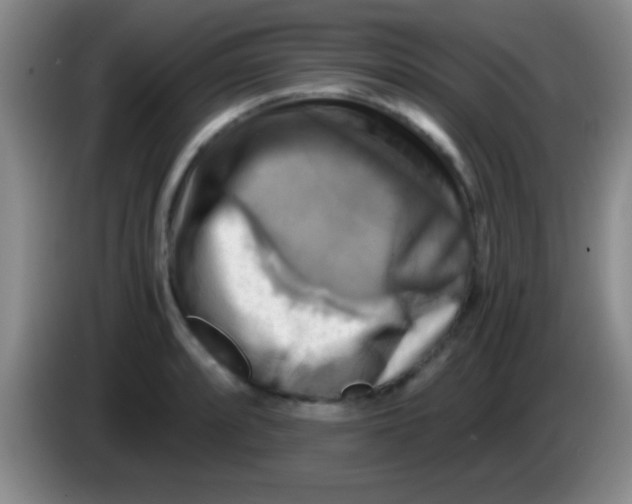 X0000084011088200703091922