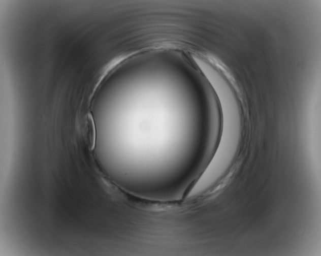 X0000084011089200703091922