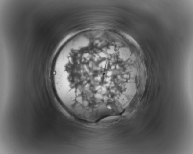 X0000084011091200703091922