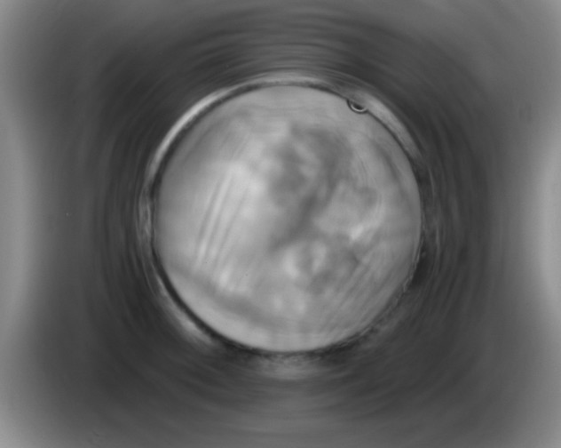 X0000084011092200703091922