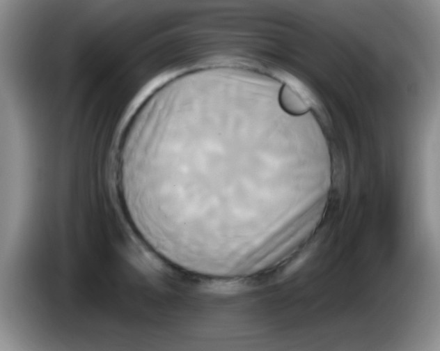 X0000084011094200703091922