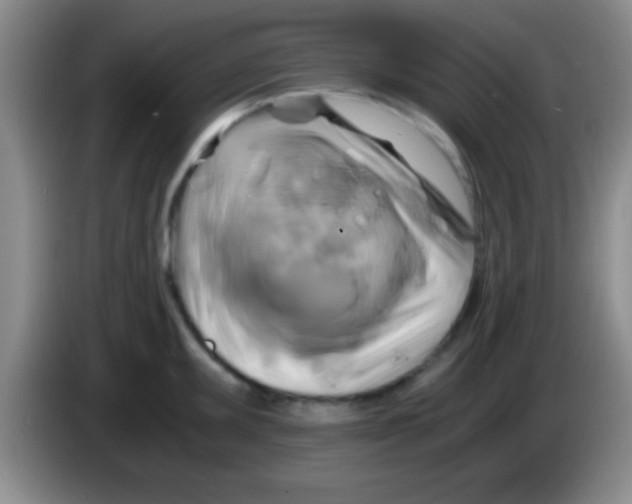 X0000084011095200703091922