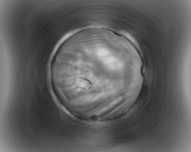 X0000084011096200703091922