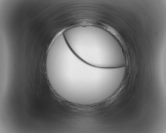 X0000084011097200703091922