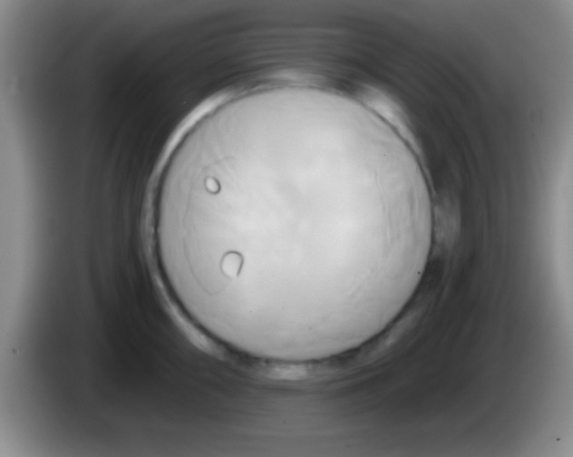 X0000084011098200703091922