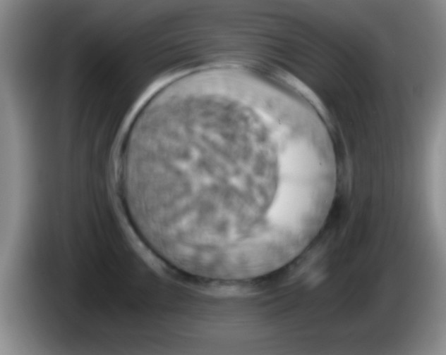 X0000084011099200703091922