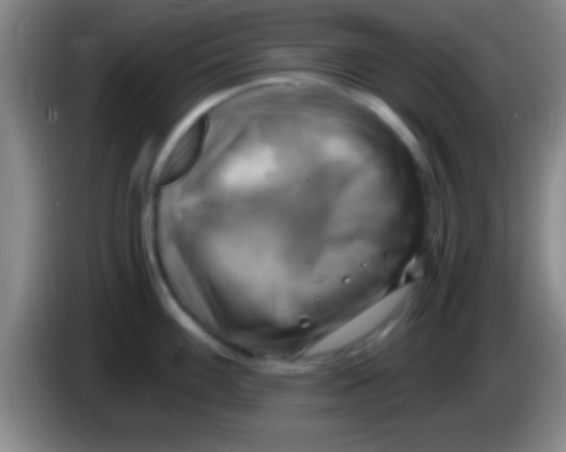 X0000084011100200703091922